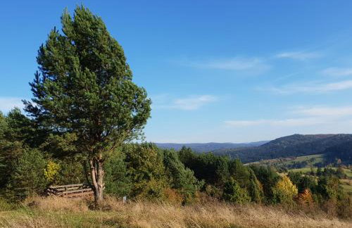 Przystanek Letnisko - Foto 36