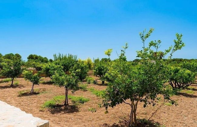 Ca Na Nina - Photo 24