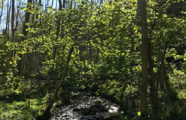 The Snug @ the Mill Inn, Stonehaven - Foto 37