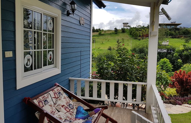 Tip House - Photo 21