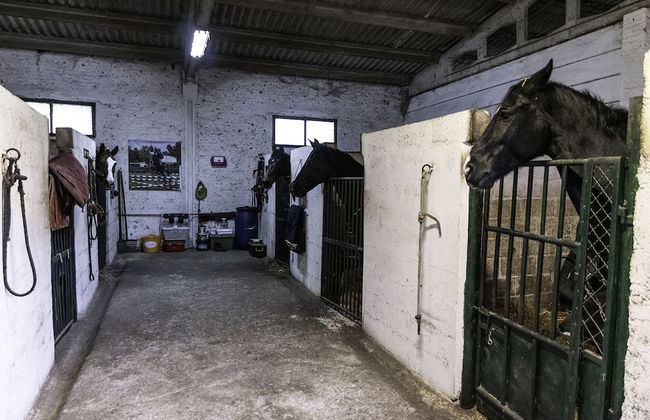 Agriturismo La Fontaccia - Foto 52