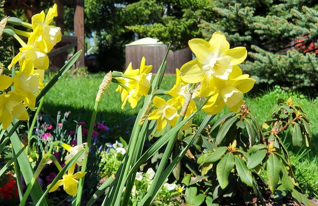 Villa Nad Kalwa - Foto 71