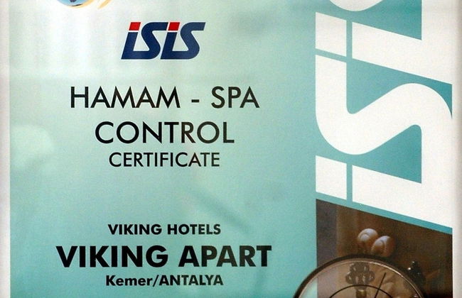 Viking Express Otel - Foto 18