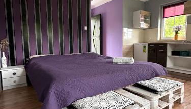 Apartament dwuosobowy Stary dąb - Foto 2