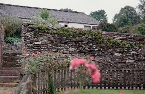 Allercott Farm - Foto 2