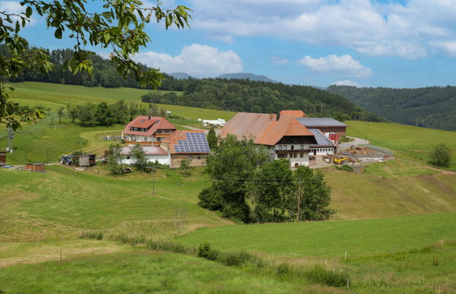 Mittelberghof - Foto 15