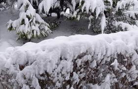 Monteur- und Ferienwohnung Waldrauschen - Foto 74