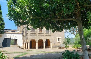 Mas d'en Roy - Foto 27