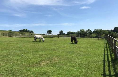 The Coach House - Photo 51