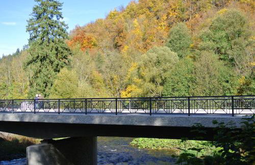 Ferienwohnungen Treseburg "Zur Bodehexe" - Foto 36