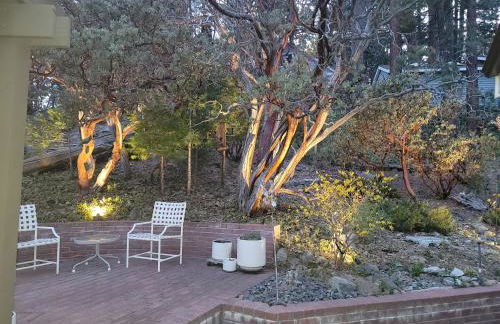 CASA de los ARBOLES! Delight & Solitude Abound! - Foto 2