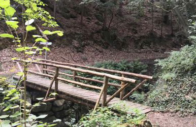 RheinWeinBoppard 2 - mit Rheinblick - Foto 71