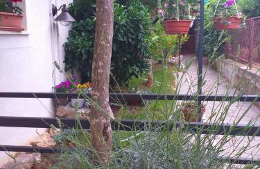 Apartments Villa Arta - Photo 29