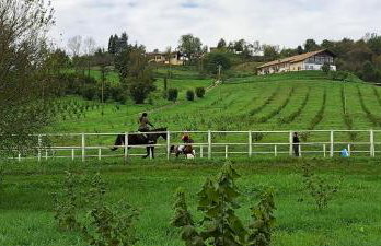 Cascina Fazioli B&B - Foto 30