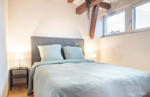 Résidence de 80 m2 avec balcon & cour alsacienne - début Route des Vins - Foto 4