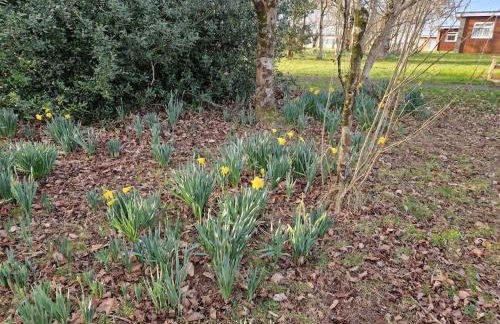 Dartmouth Caldon Holiday Chalet Sleeps 4 wifi elec inc Pets welcome - Foto 42