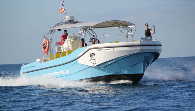 Paseo en barco por Los Órganos y el oeste de La Gomera - Foto 2, Surcaremos las costas del oeste y el norte de La Gomera