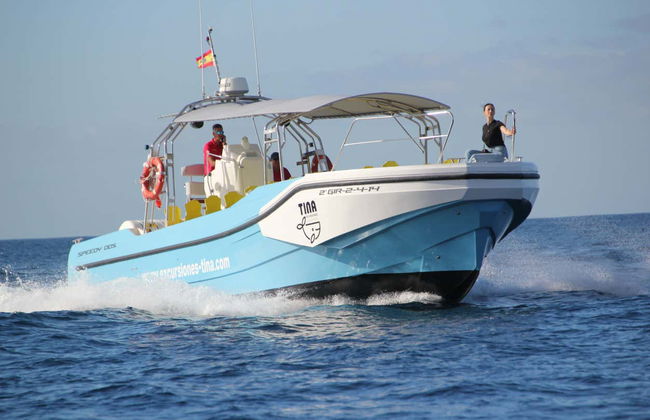Balade en bateau à Los Órganos et à l'ouest de La Gomera - Photo 1