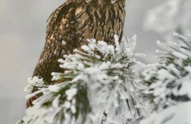 Panorama Karkonoszy - Apartamenty KOMFORT z widokiem na Śnieżkę i Aquapark - Photo 68