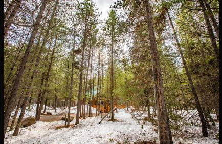 Island Park Hideaway -Bill's Island -Hot Tub -BBQ - Foto 32