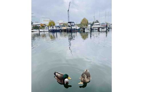 Ahoy Masal Modern Retreat - Foto 27