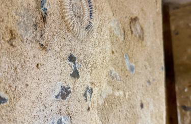 Cocon historique près Cathédrale - Foto 13