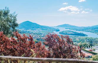 Just like Home - Number 8 em Quinta das Mineirinhas - Foto 31