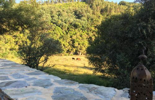 Quinta das Levadas - Country House & Nature - Foto 63