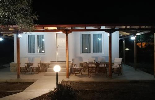 Bill & Eva's precious jewel - Photo 19