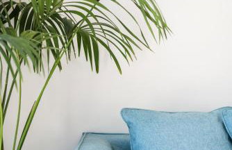 paleo villas - Foto 78