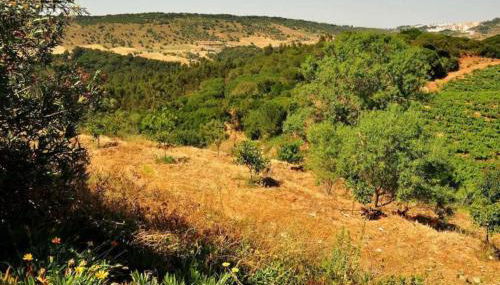 Fabulosa Quinta do Vento - Foto 4