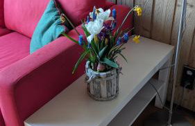 Feriendomizil Nordschwarzwald - Foto 28