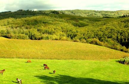 Villa Rignana - The Tuscan Collection - Foto 96