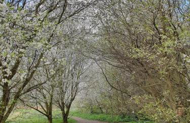 Stay at 128 - Foto 19