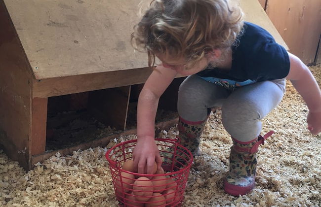 Fat Sheep Farm & Cabins - Foto 30