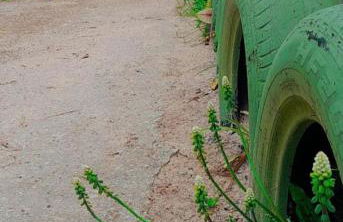 Recanto Dos Vargas - Seu refúgio em Floripa com atendimento dos anfitriões - Foto 34