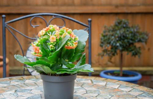 The Annex @ 136 - Foto 20