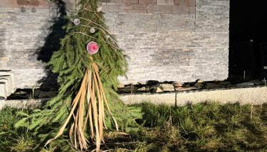 Agroturystyka Monte Luna - domki - Foto 3, Garden