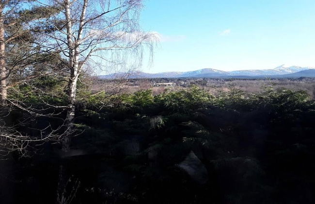 Amazing Cottage With Indoor Private Pool - Foto 16