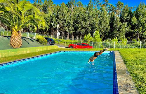 Alojamiento Ultreia - Estorde - Foto 13