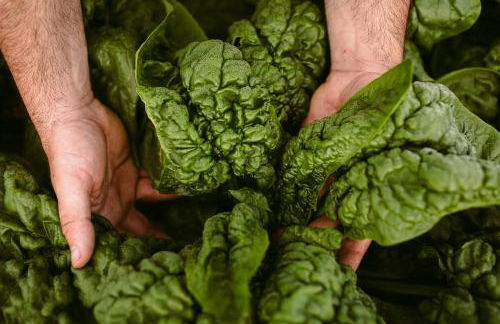 Hotel Rural Xereca - Foto 130