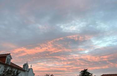 Santuário SOS Animal - Foto 29