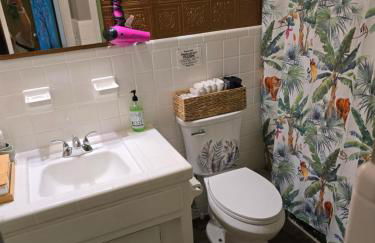 Jungle Oasis By Busch Gardens USF and Amphitheater - Foto 23