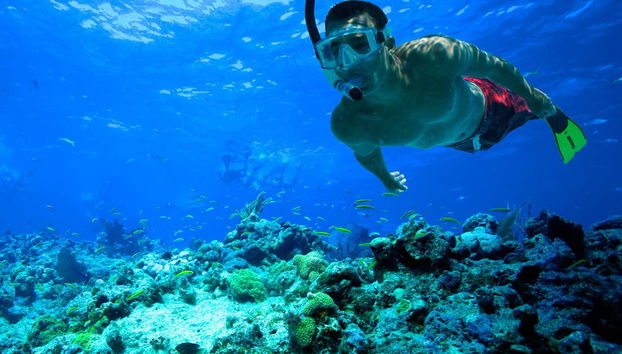 Snorkeling a Key West - Foto 2