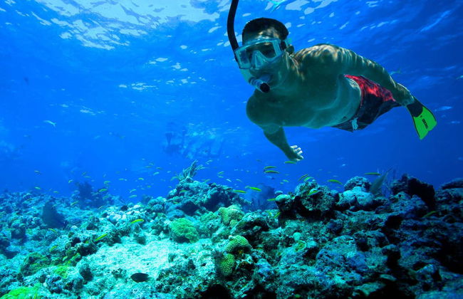 Snorkel en Cayo Hueso - Foto 2