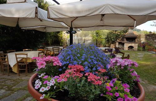 Antico Uliveto - Foto 41