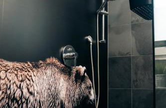 Ferienappartement im Thüringer Wald - Foto 9