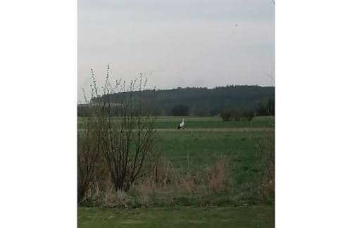 Waldi Fichteltraum - Foto 6