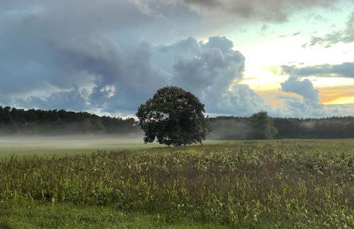 Urlaub auf dem Land - Foto 13