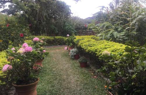 Sítio São Gerardo - Aconchegante casa no campo. - Foto 25